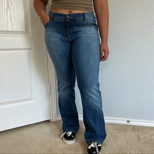 Torrid Jeans